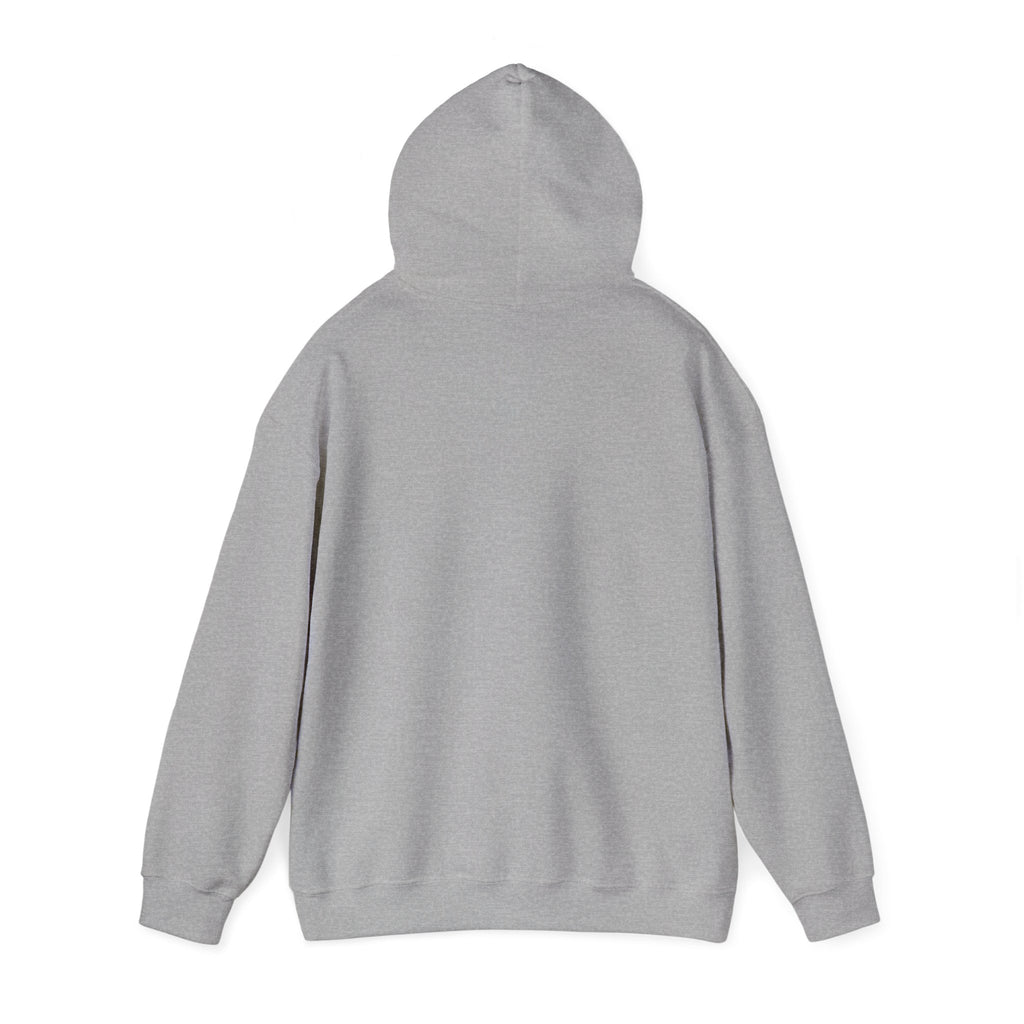 Silver Ribbon Heart Hoodie — Awareness Ribbon Double Heart Pullover