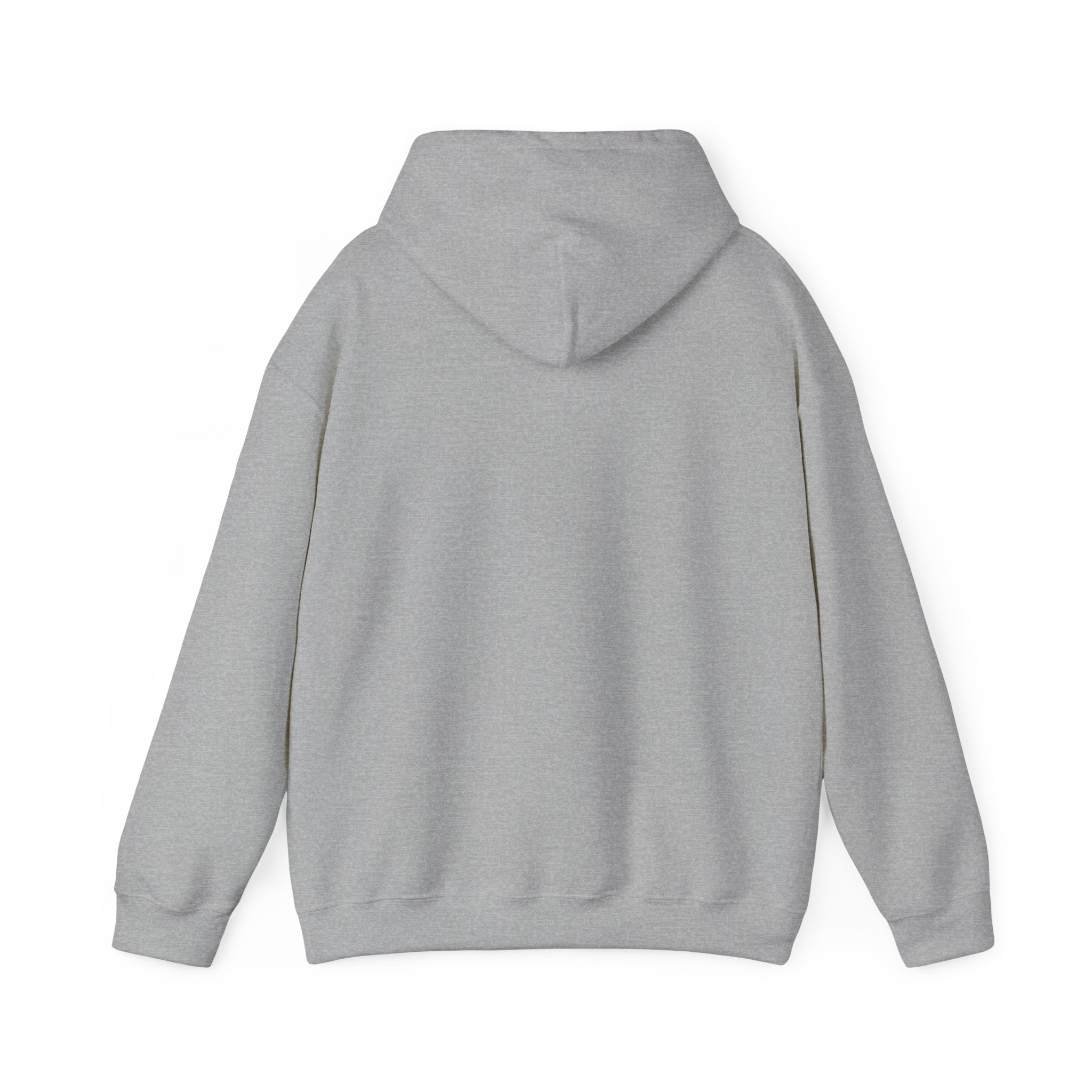 Silver Ribbon Heart Hoodie — Awareness Ribbon Double Heart Pullover